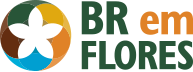 BR em Flores